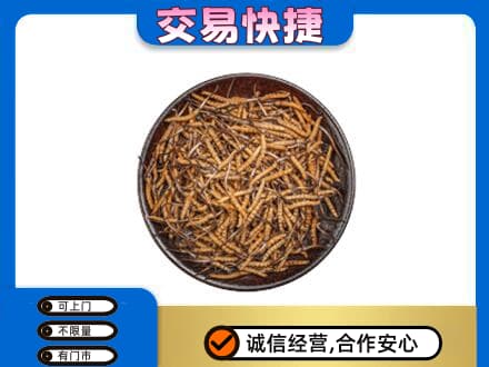 普洱市澜沧回收散虫草