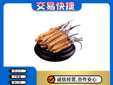 普洱市澜沧礼品回收散虫草.jpg